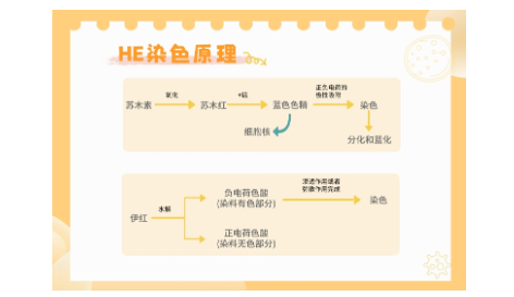 新闻图片1