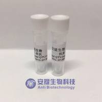 氟 苯尼考/甲砜霉素双特异性基因工程抗体