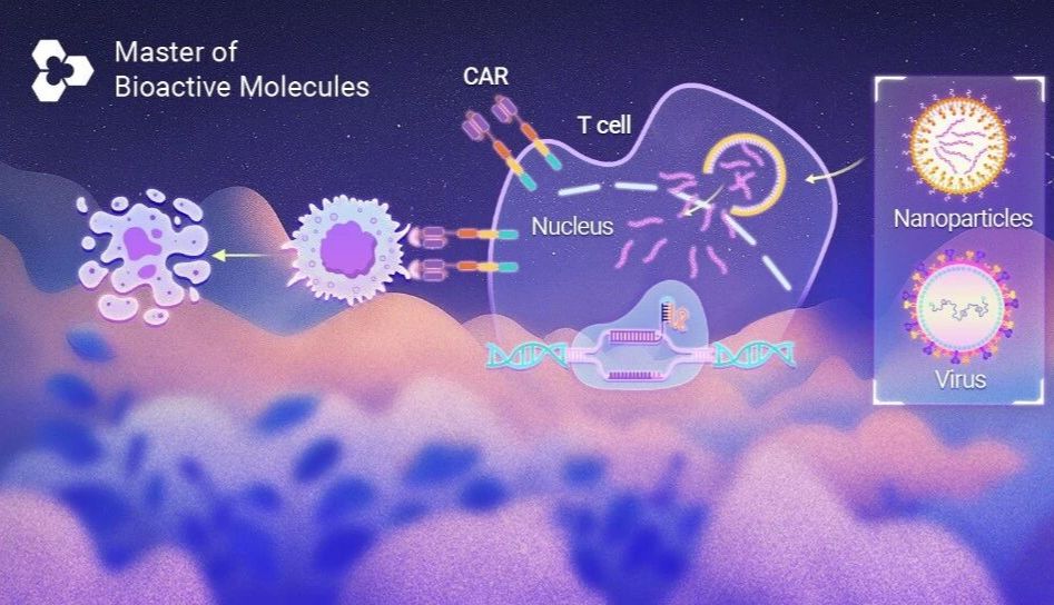 药物递送：抗体偶联脂质纳米颗粒 (Ab-LNP) — 体内 CAR-T 的前沿策略