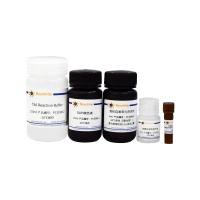 BeyoTSA™酪酰胺信号放大试剂盒(Tyramide-647)