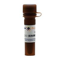 碧云天C1038 DiO (细胞膜绿色荧光探针)