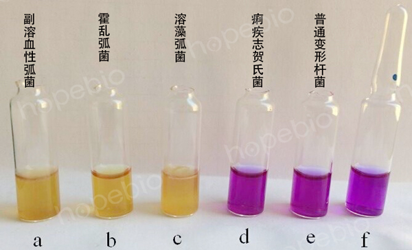 3%NaCl甘露醇原理和使用方法