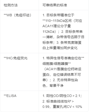 如何判断Anti-ACA11抗体检测的结果是否可靠