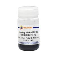 BeyoMag™磷酸化蛋白纯化琼脂糖磁珠(NTA-Fe)