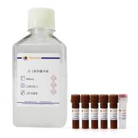 碧云天C2003S 增强型线粒体膜电位检测试剂盒(JC-1)