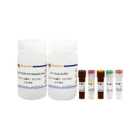 Amplex Red丙氨酸转氨酶活性检测试剂盒