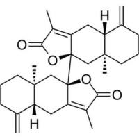 双白术内酯