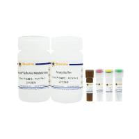 Amplex Red葡萄糖氧化酶活性检测试剂盒