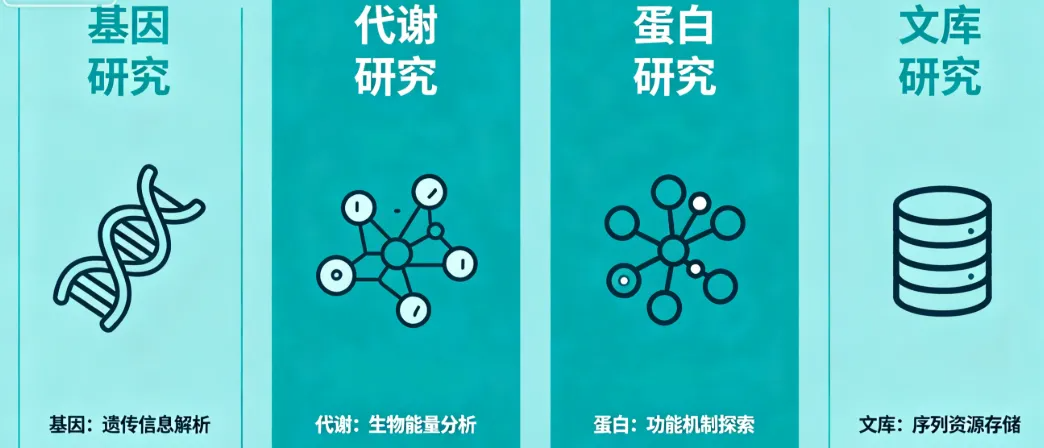 新闻图片2