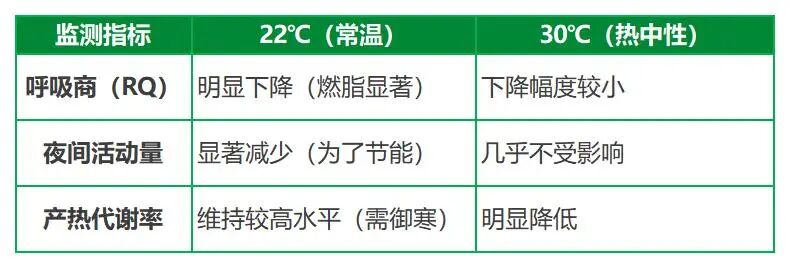 1111_綠.jpg