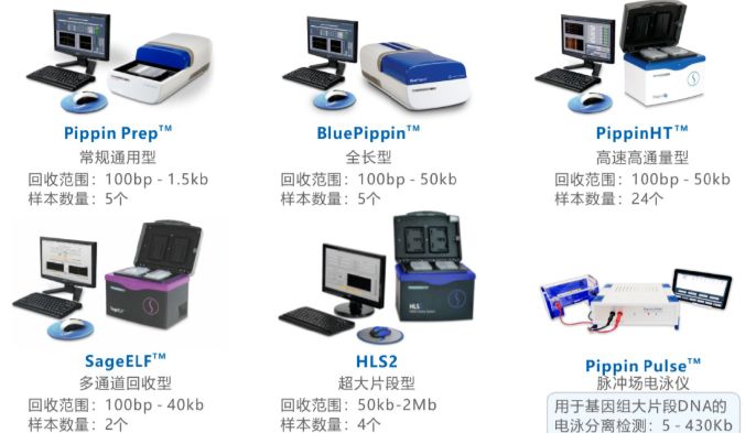 精准筛选微小RNA文库（miRNA、siRNA、piRNA、tRF/tsRNA）的方法比较：全自动DNA核酸片段分选仪 VS切胶回收和磁珠纯化