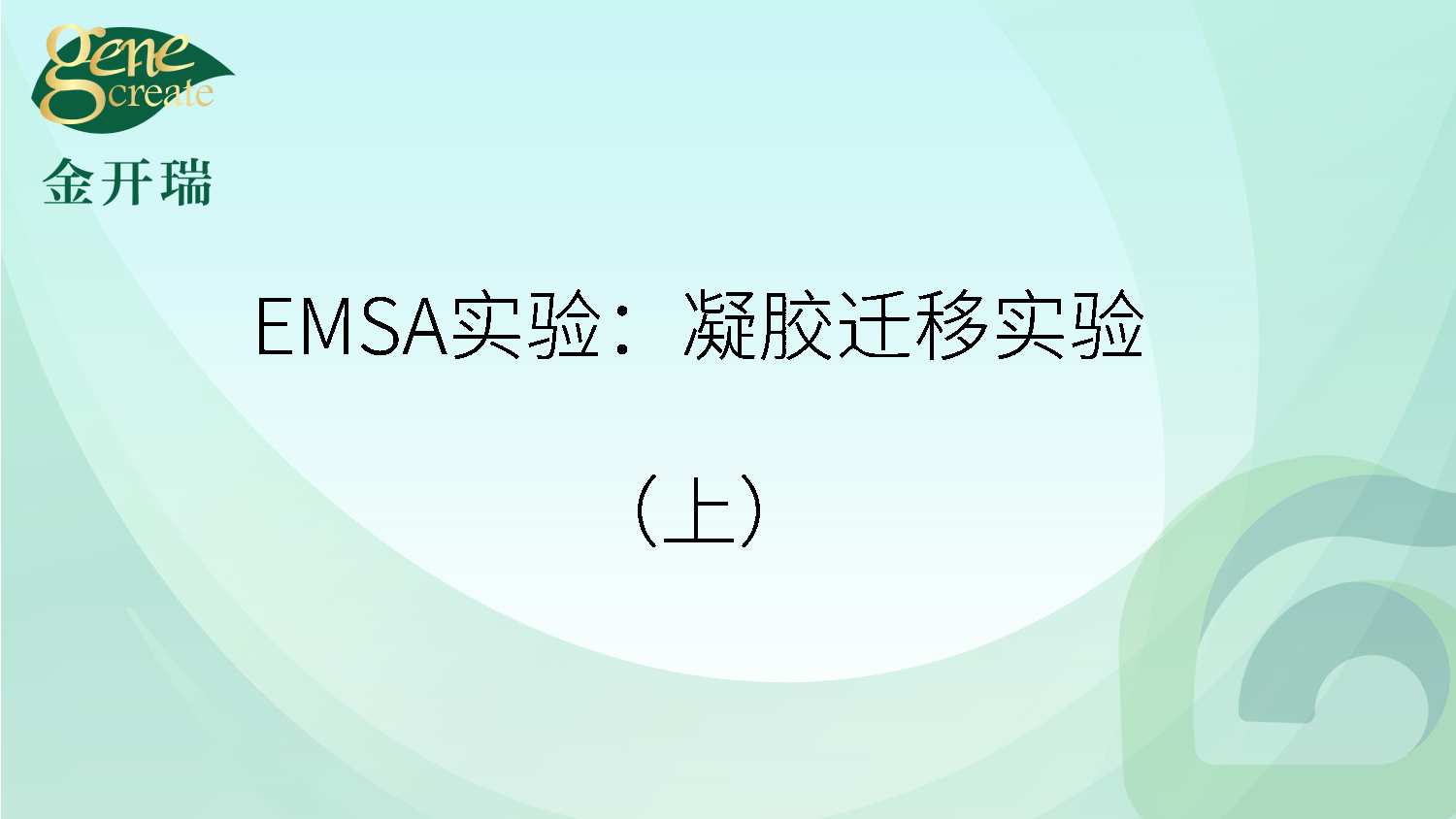 产品细节图片2