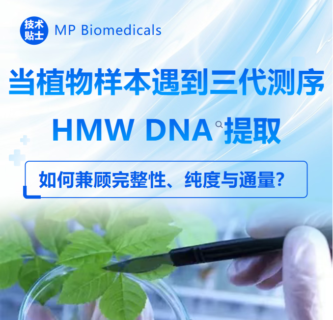 新闻图片1