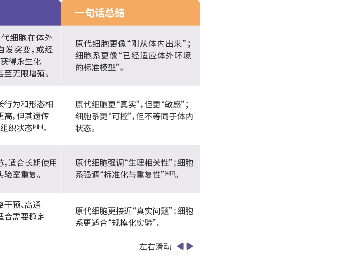 細胞培養：來源、類型、培養條件、常見污染