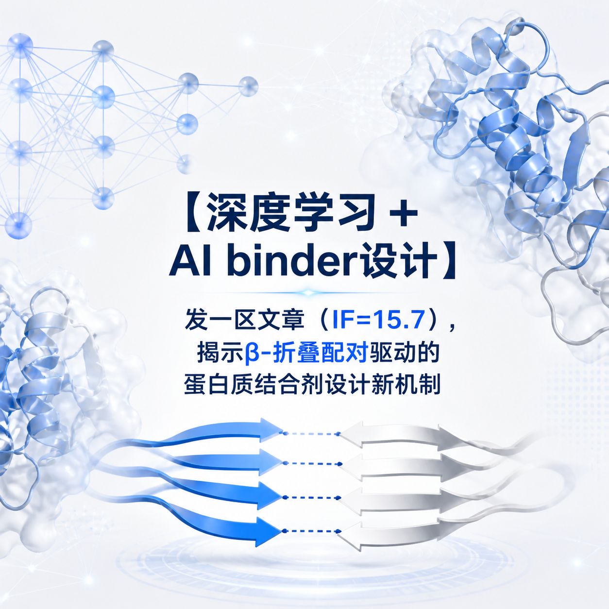 【深度学习 + AI binder设计】发一区文章（IF=15.7），揭示β-折叠配对驱动的蛋白质结合剂设计新机制