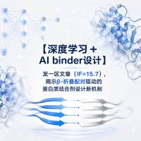 【深度学习 + AI binder设计】发一区文章（IF=15.7），揭示β-折叠配对驱动的蛋白