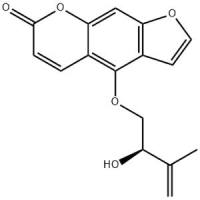 PANGELIN