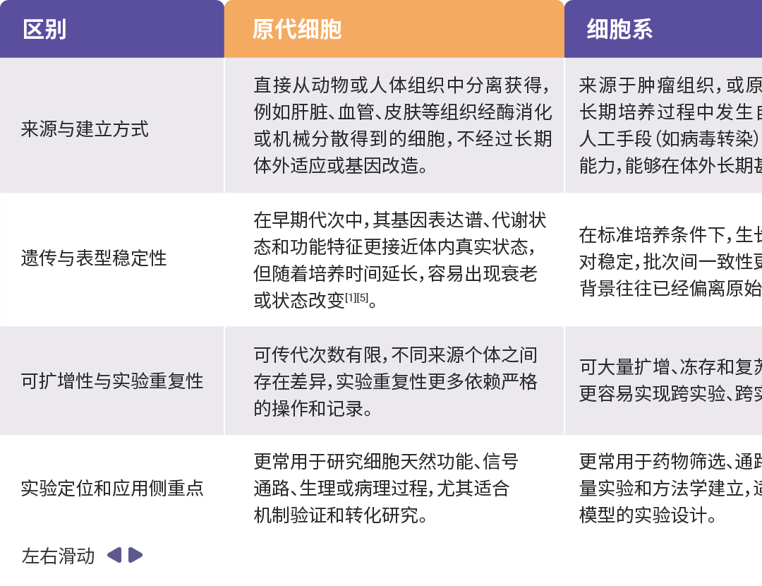 細胞培養：來源、類型、培養條件、常見污染