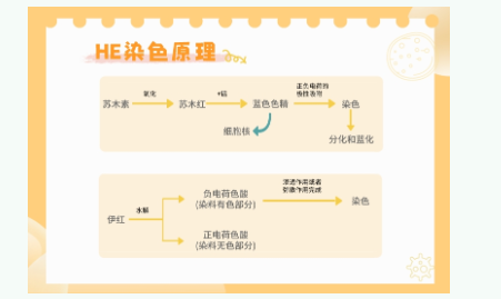 新闻图片1