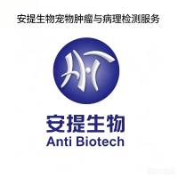 HE病理染色 良恶性鉴别·HE染色 组织病理检测