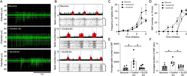 MED64平面微电极矩阵记录系统文章分享,妙佑医院科研小组发表 “Compromised lipid metabolism, mitochondria respiration and neuroprotective effects in iPSC-derived astrocytes from a Smith-Lemli-Opitz syndrome patient” 报告