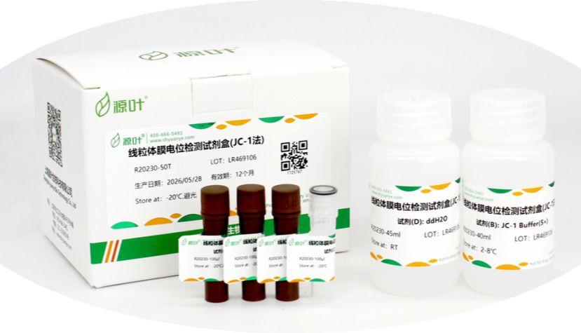 【源叶】优势产品——线粒体功能检测试剂
