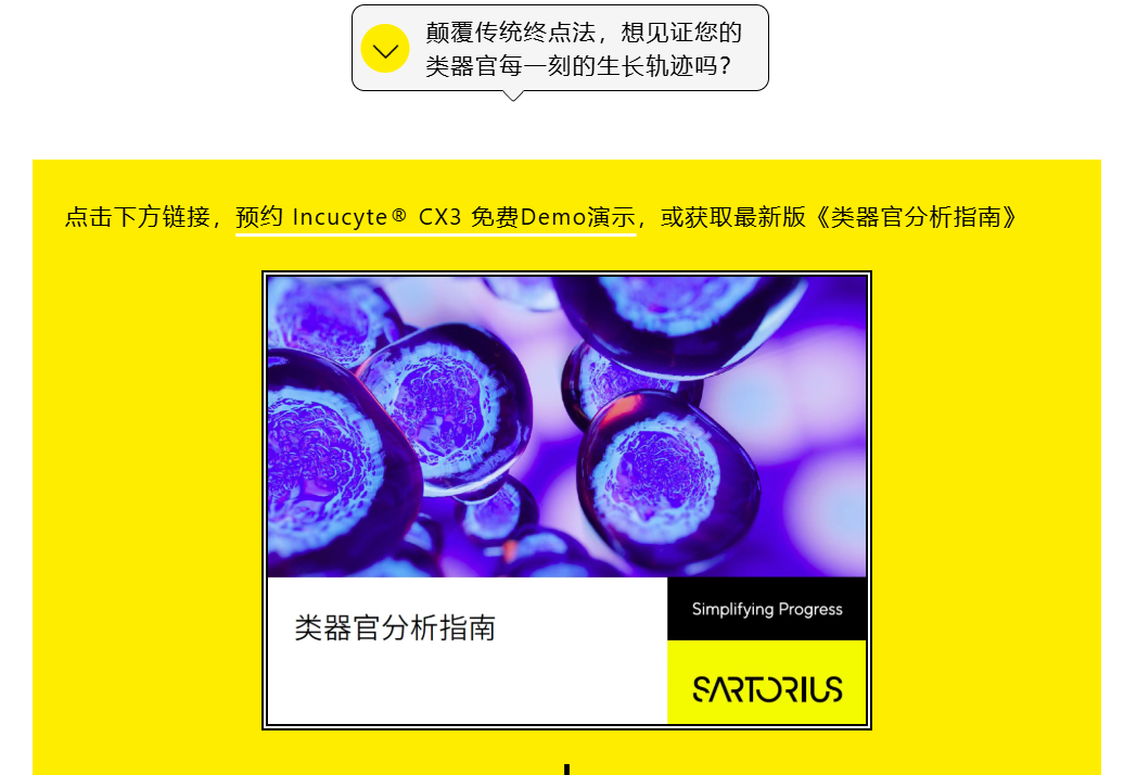 新闻图片12