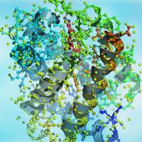 生物肽组学