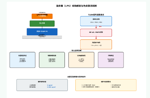 新闻图片1