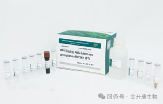 解码RNA互作奥秘：金开瑞RIP/RNA pull-down试剂盒助力多篇高质量研究，深入解析肿瘤及椎间盘退变调控机制”
