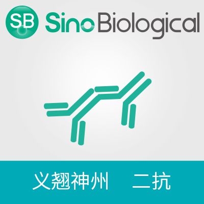兔抗鼠IgG F(ab')₂ (HRP), 抗原结合片段