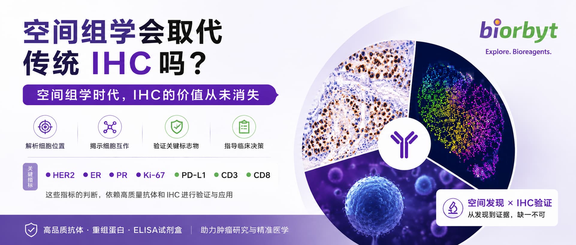 空间组学爆火之后，IHC还有存在的意义吗？