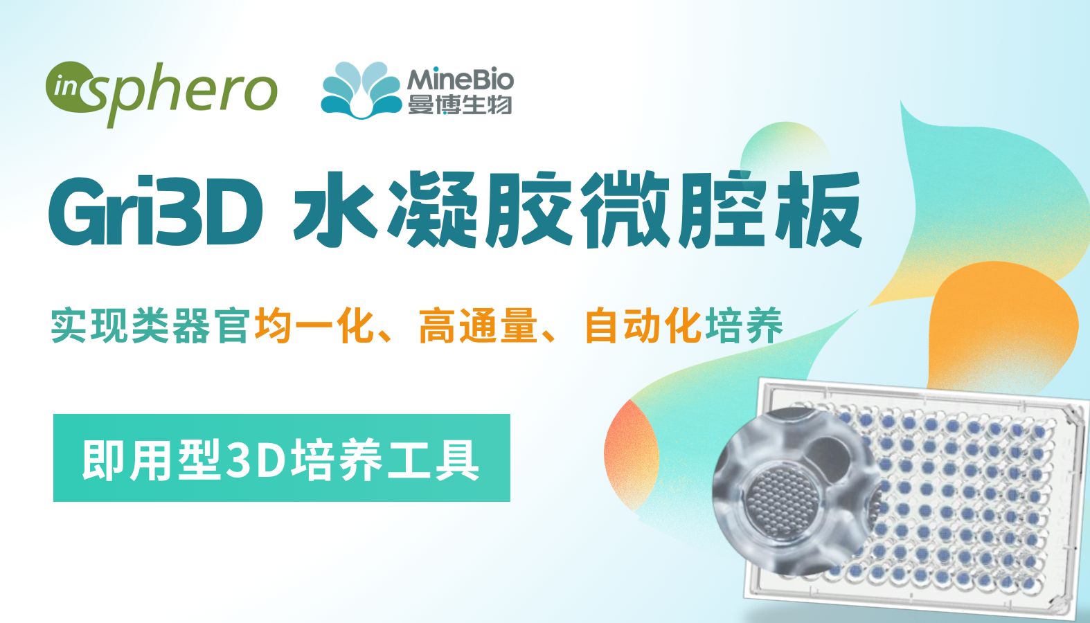 InSphero｜Gri3D水凝胶微腔板，为标准化类器官细胞培养带来更多可能
