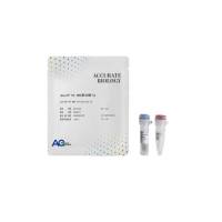 ApexHF HS DNA 聚合酶 – CL