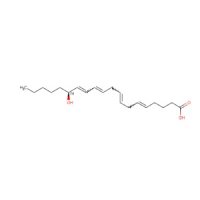 15(S)-HETE,花生四烯酸的代谢产物，54845-95-3，Moligand™, ≥98%, 100μg/mL in ethanol，阿拉丁