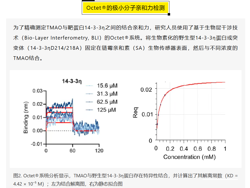新闻图片3