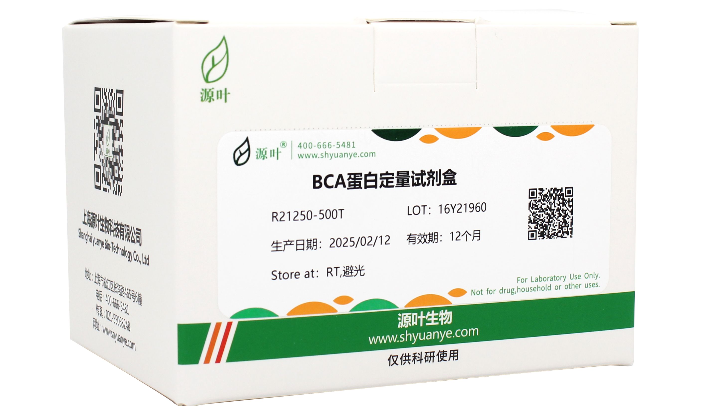 源叶Western Blot全线产品 — 从裂解到显影的完整解决方案