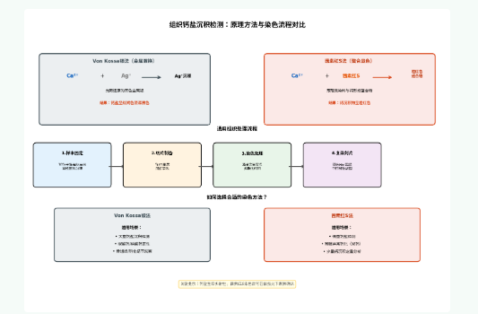 新闻图片1
