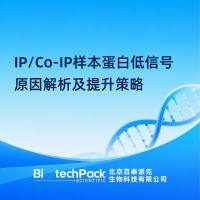 IP/Co-IP样本蛋白低信号原因解析及提升策略