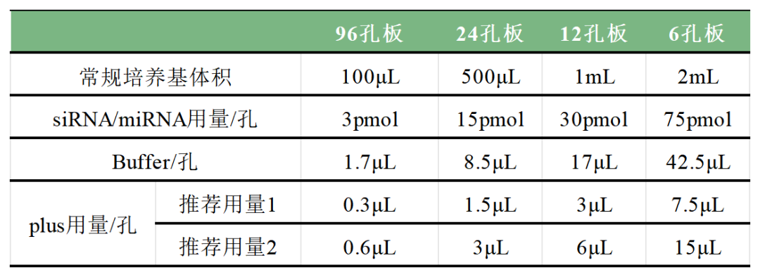 干货：siRNA 使用宝典
