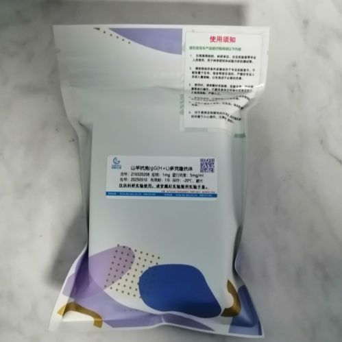 羊抗兔IgG抗体