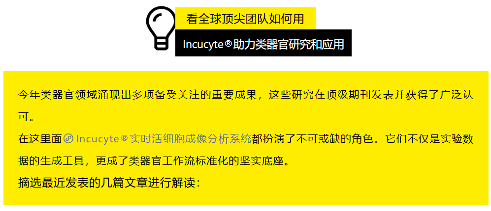 新闻图片1