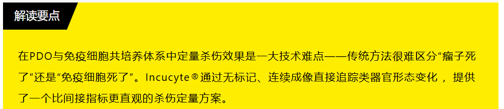 新闻图片7