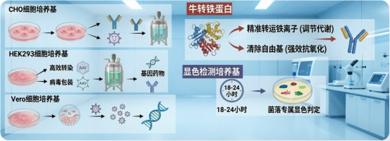 新闻图片1