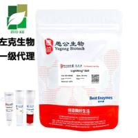快速多片段DNA无缝克隆预混液
