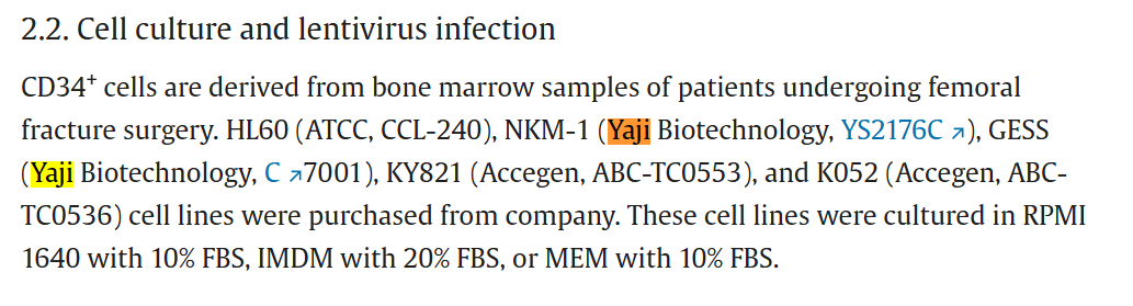 文献引用产品：NKM-1人白血病细胞