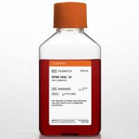 Corning 10-040-CV RPMI1640 培养基 500mL / 瓶 悬浮淋巴细胞 / 杂交瘤细胞专用