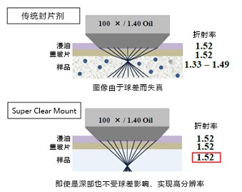 051572942877.jpg 1.jpg
