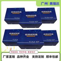 大鼠糖化血清蛋白（GSP）ELISA检测试剂盒