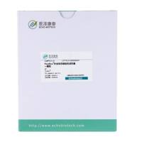 【FluoExo®示踪染色】FluoExo®外泌体示踪染色试剂盒-绿色-体验装